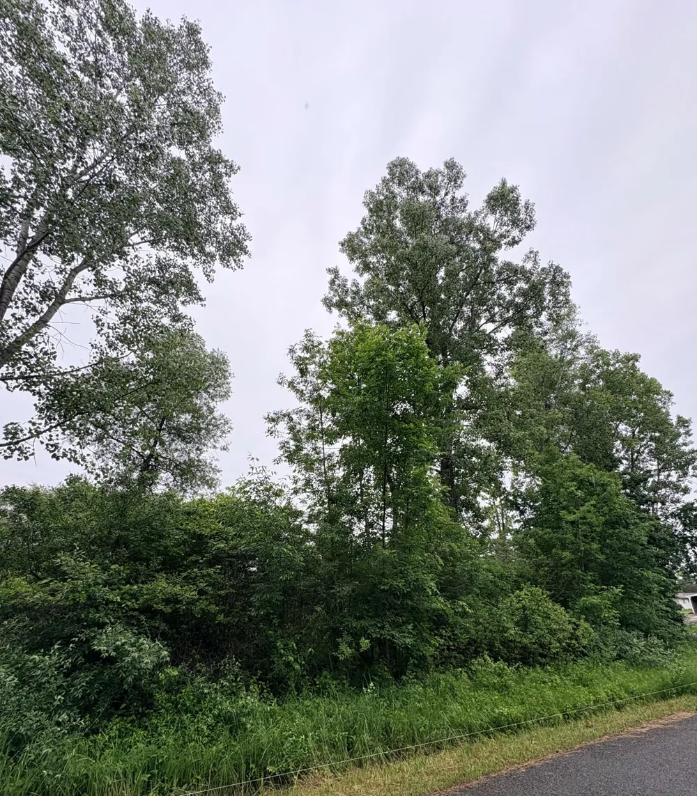 Crestview Drive Laingsburg, MI 48848