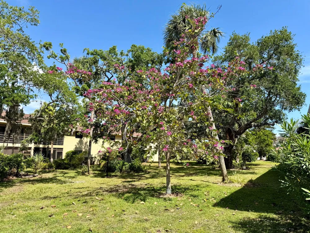 400 18th Street #B4 Vero Beach, FL 32960