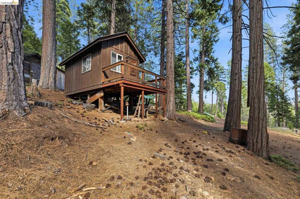 24882 Bottini Apple Ranch Rd Mi Wuk Village, CA 95346