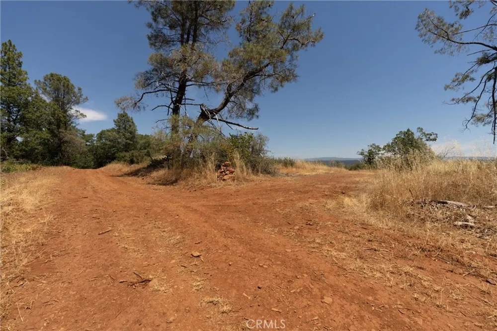 Doe Mill Forest Ranch, CA 95942