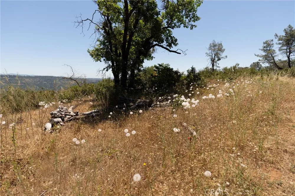 Doe Mill Forest Ranch, CA 95942