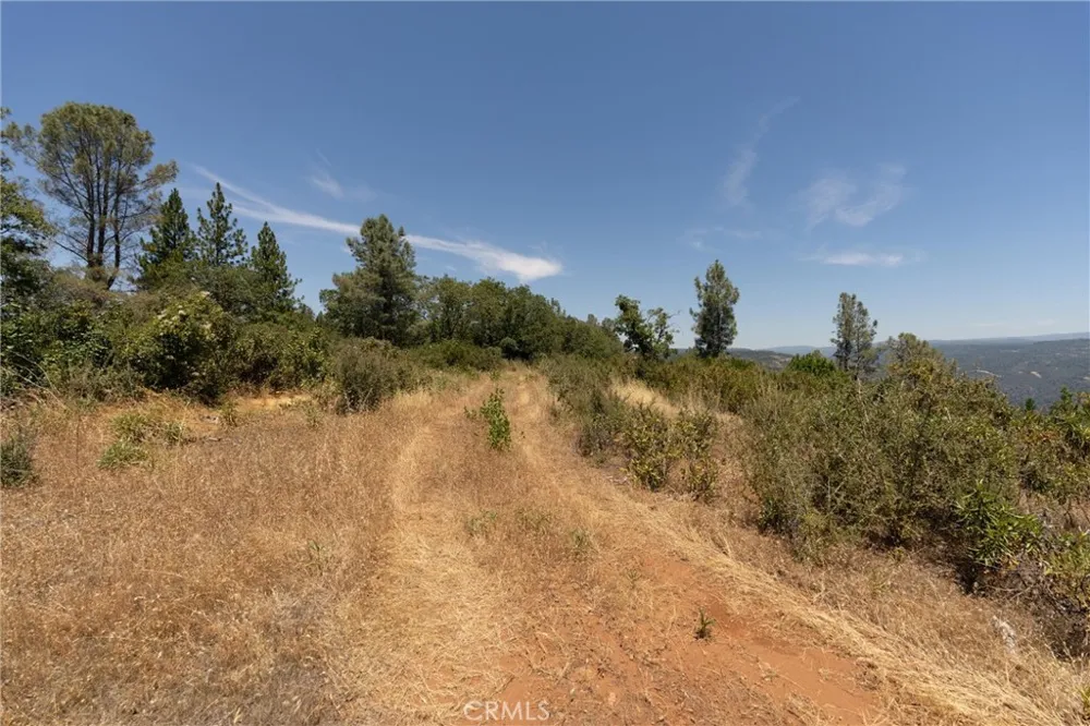 Doe Mill Forest Ranch, CA 95942