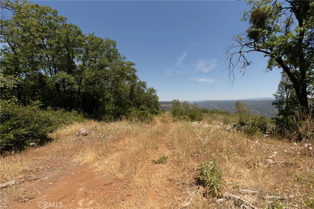 Doe Mill Forest Ranch, CA 95942