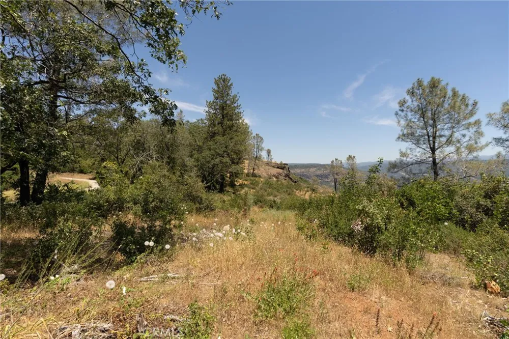 Doe Mill Forest Ranch, CA 95942