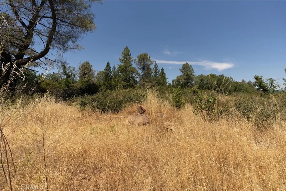 Doe Mill Forest Ranch, CA 95942