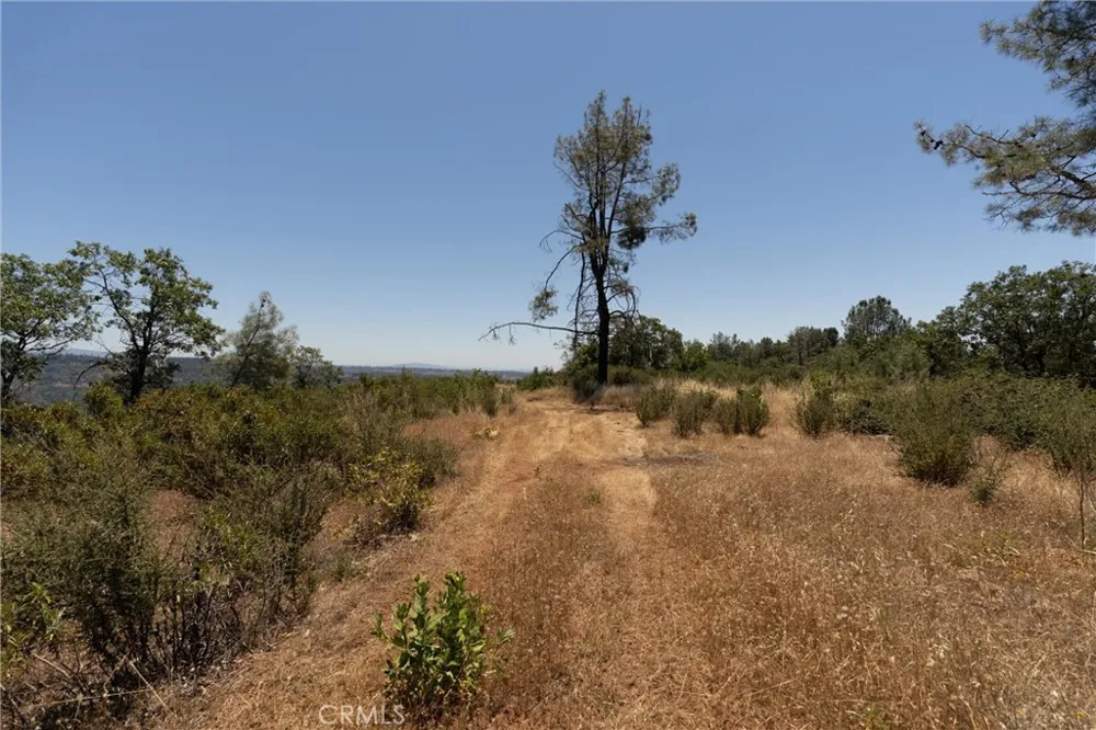Doe Mill Forest Ranch, CA 95942