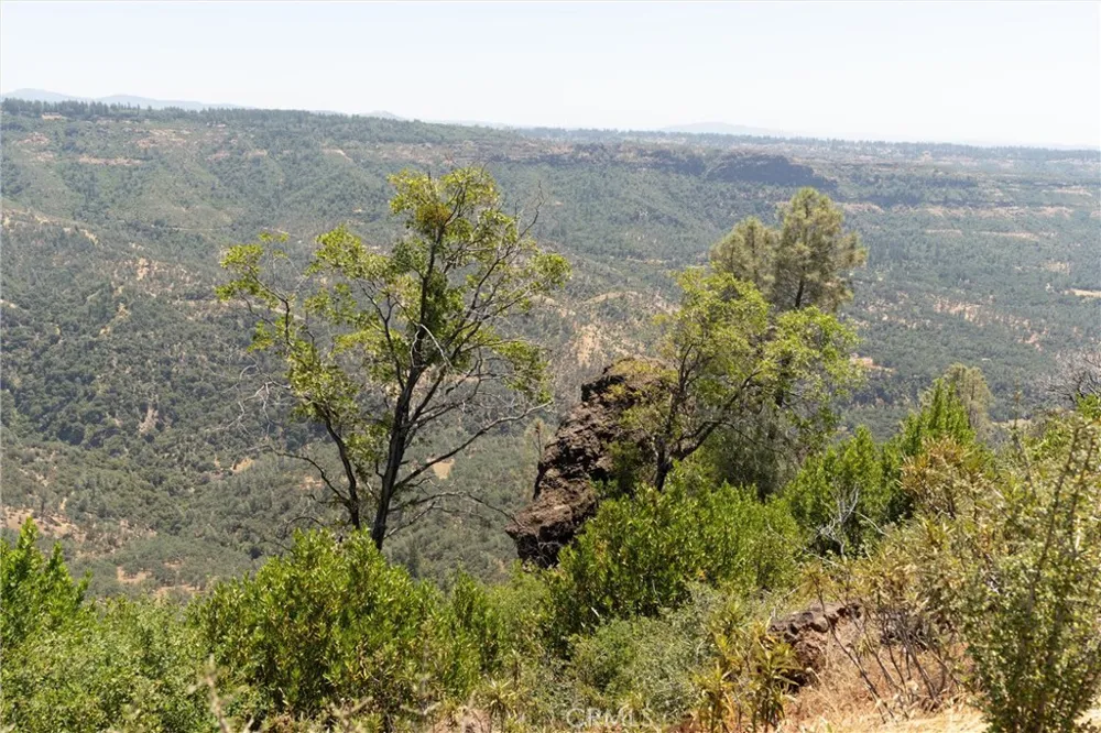 Doe Mill Forest Ranch, CA 95942