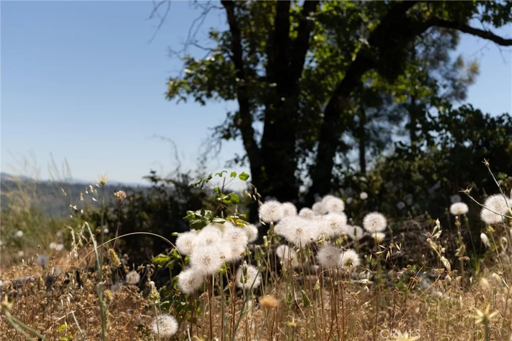 Doe Mill Forest Ranch, CA 95942