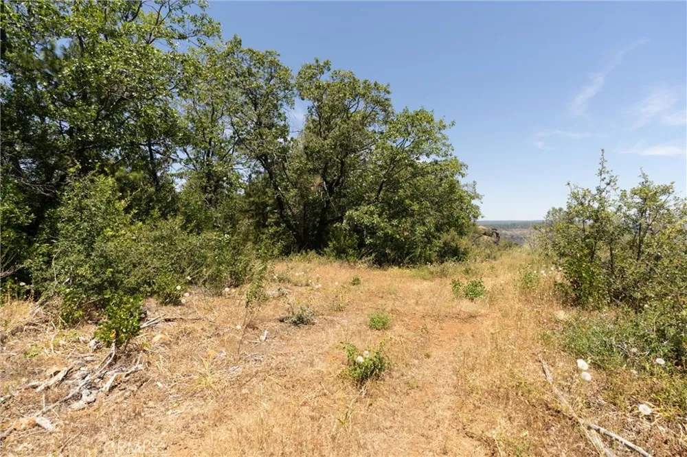 Doe Mill Forest Ranch, CA 95942