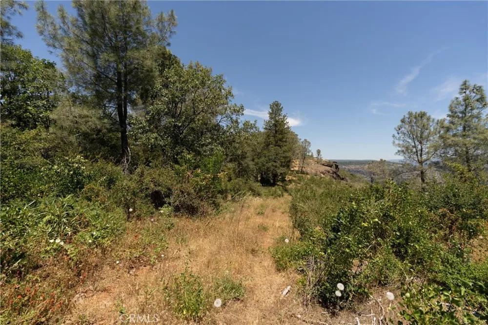 Doe Mill Forest Ranch, CA 95942
