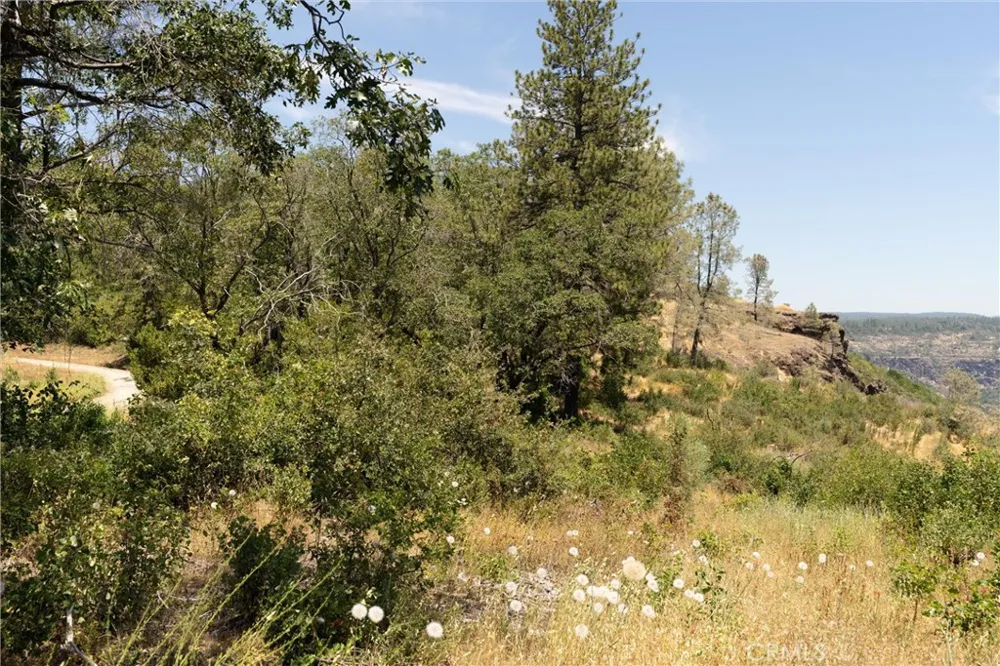 Doe Mill Forest Ranch, CA 95942