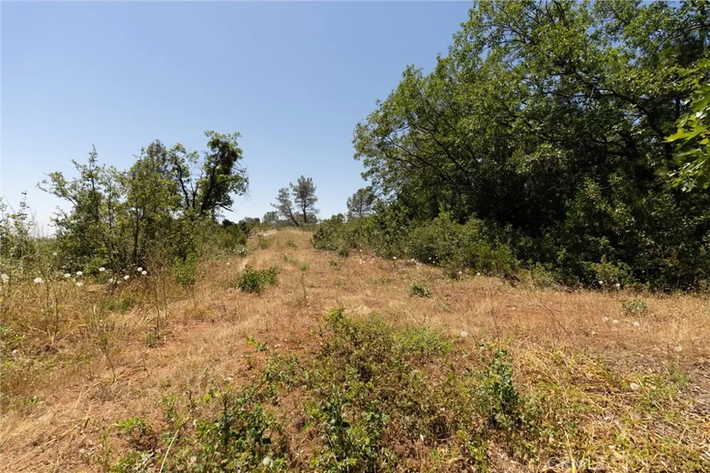 Doe Mill Forest Ranch, CA 95942