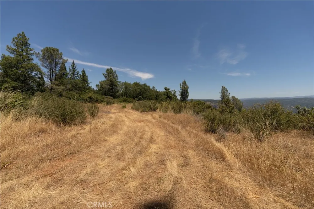 Doe Mill Forest Ranch, CA 95942