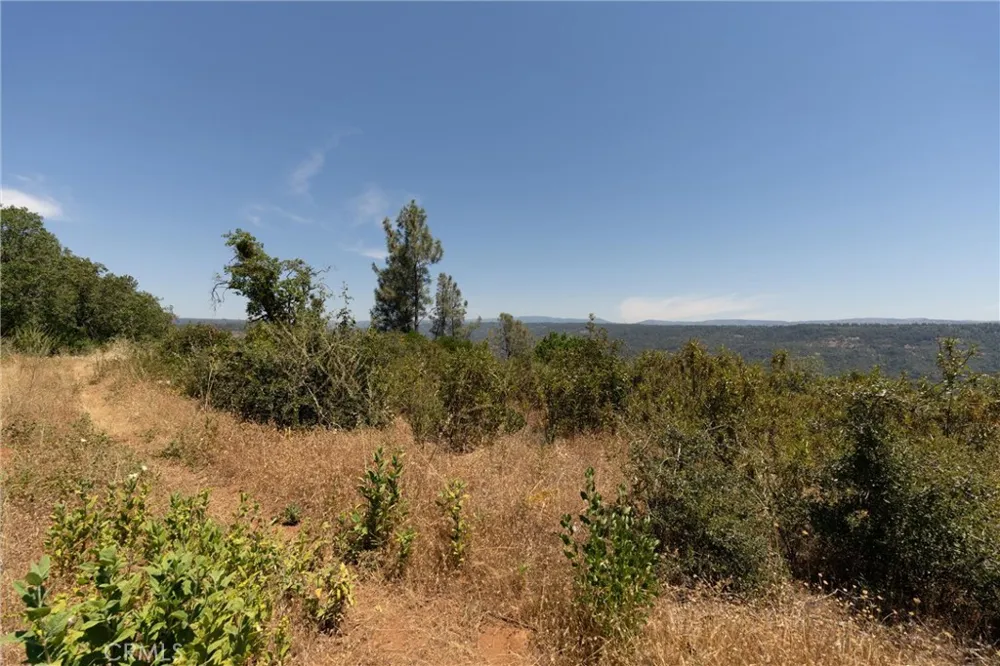 Doe Mill Forest Ranch, CA 95942