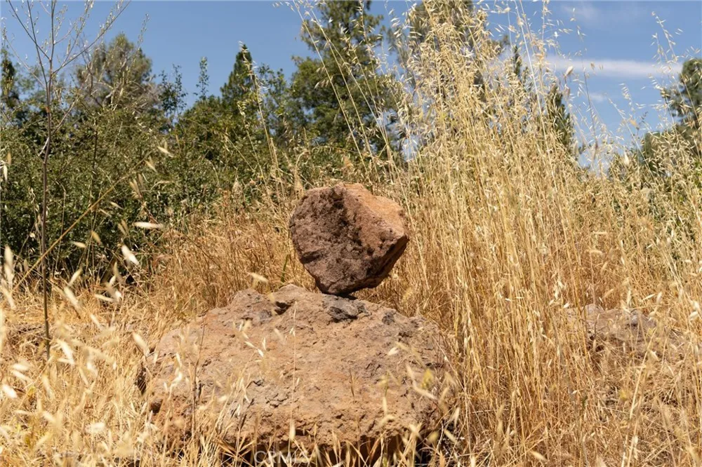 Doe Mill Forest Ranch, CA 95942