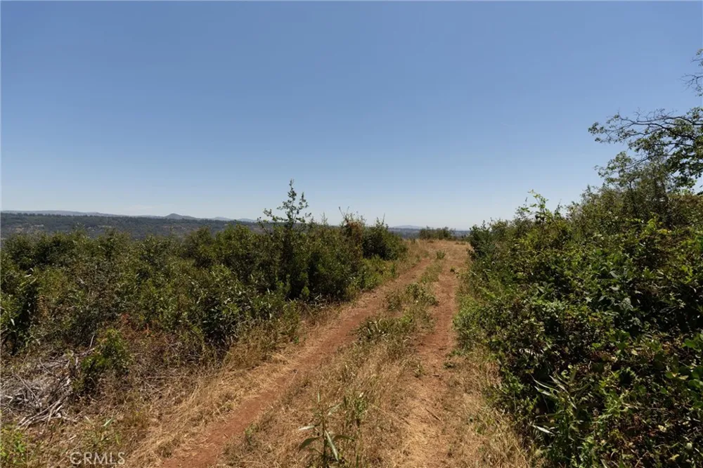 Doe Mill Forest Ranch, CA 95942
