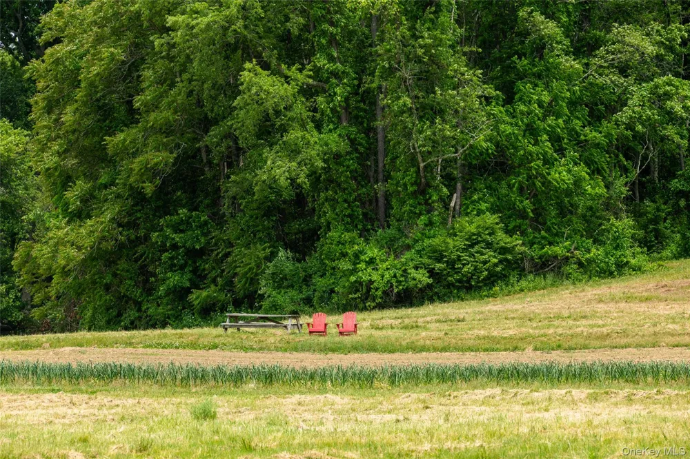 7115 Albany Post Road Rhinebeck, NY 12572