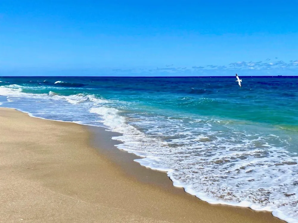 3605 S Ocean Boulevard #229 South Palm Beach, FL 33480