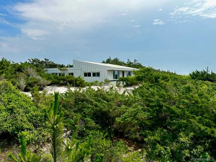 54 Lewis Walk Cherry Grove, NY 11782