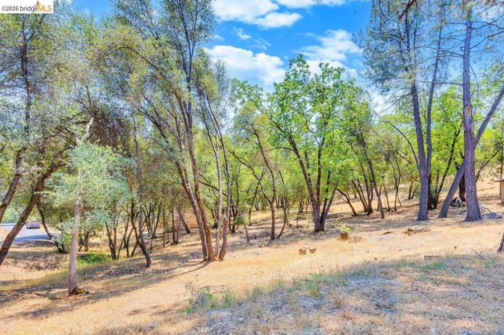 15311 Curtis Cir Sonora, CA 95370