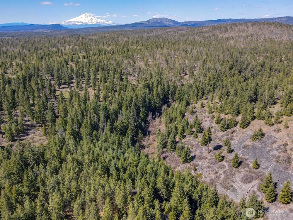 10 Piper Lane Goldendale, WA 98620