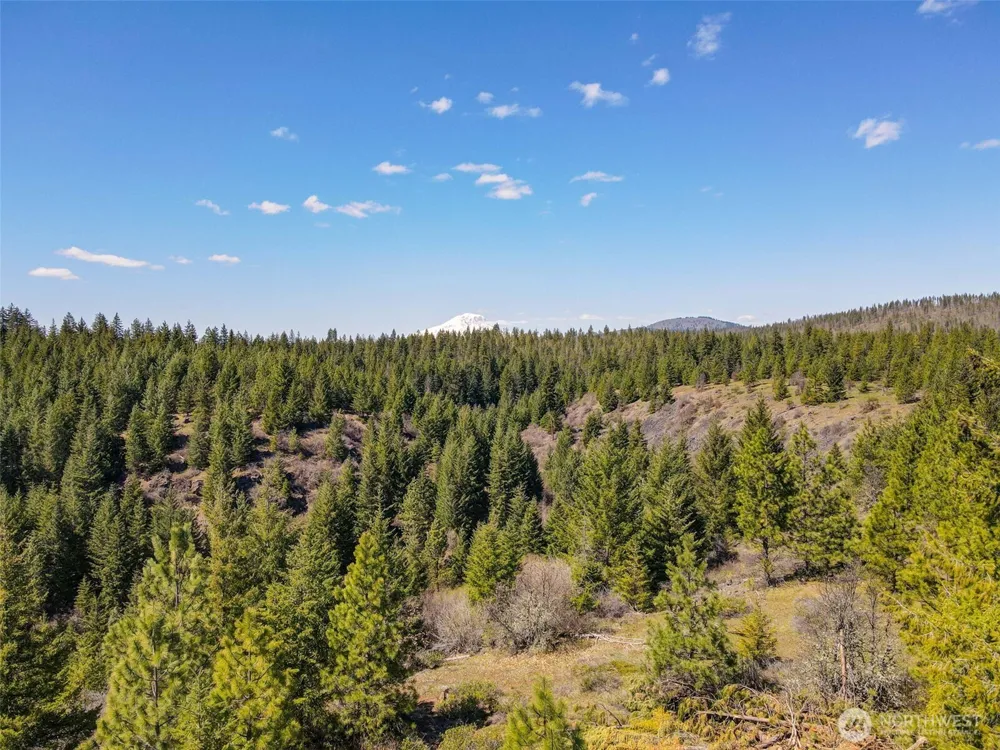 10 Piper Lane Goldendale, WA 98620