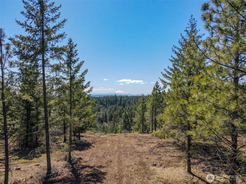 10 Piper Lane Goldendale, WA 98620
