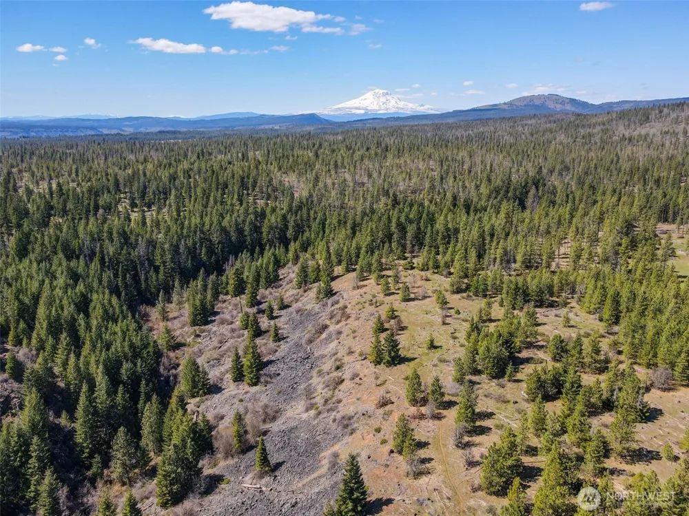 10 Piper Lane Goldendale, WA 98620