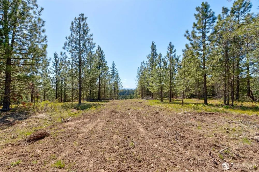 10 Piper Lane Goldendale, WA 98620