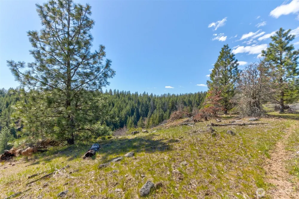 10 Piper Lane Goldendale, WA 98620