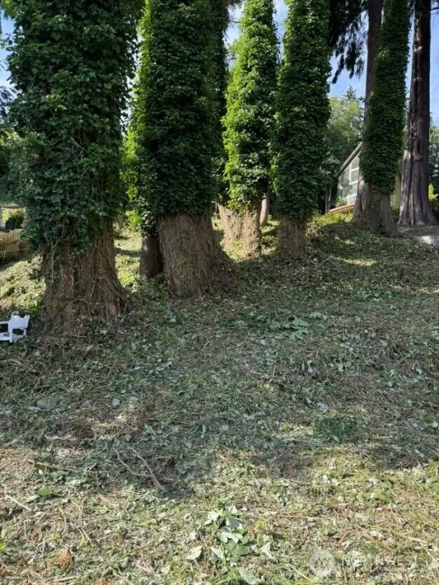 690 X Olive Avenue Stanwood, WA 98292