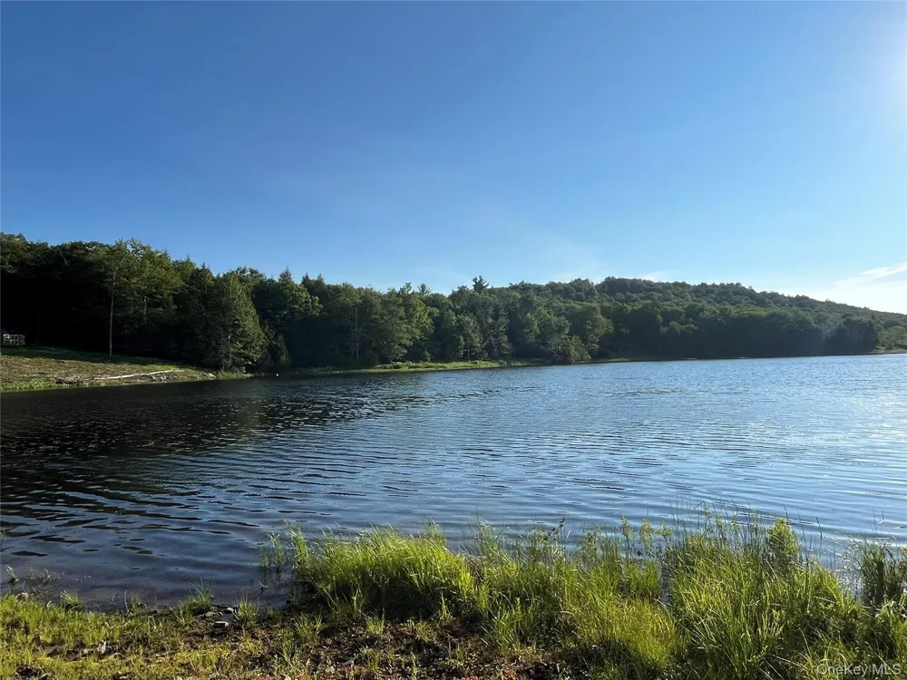 47 Eagles Ridge Way Parksville, NY 12768
