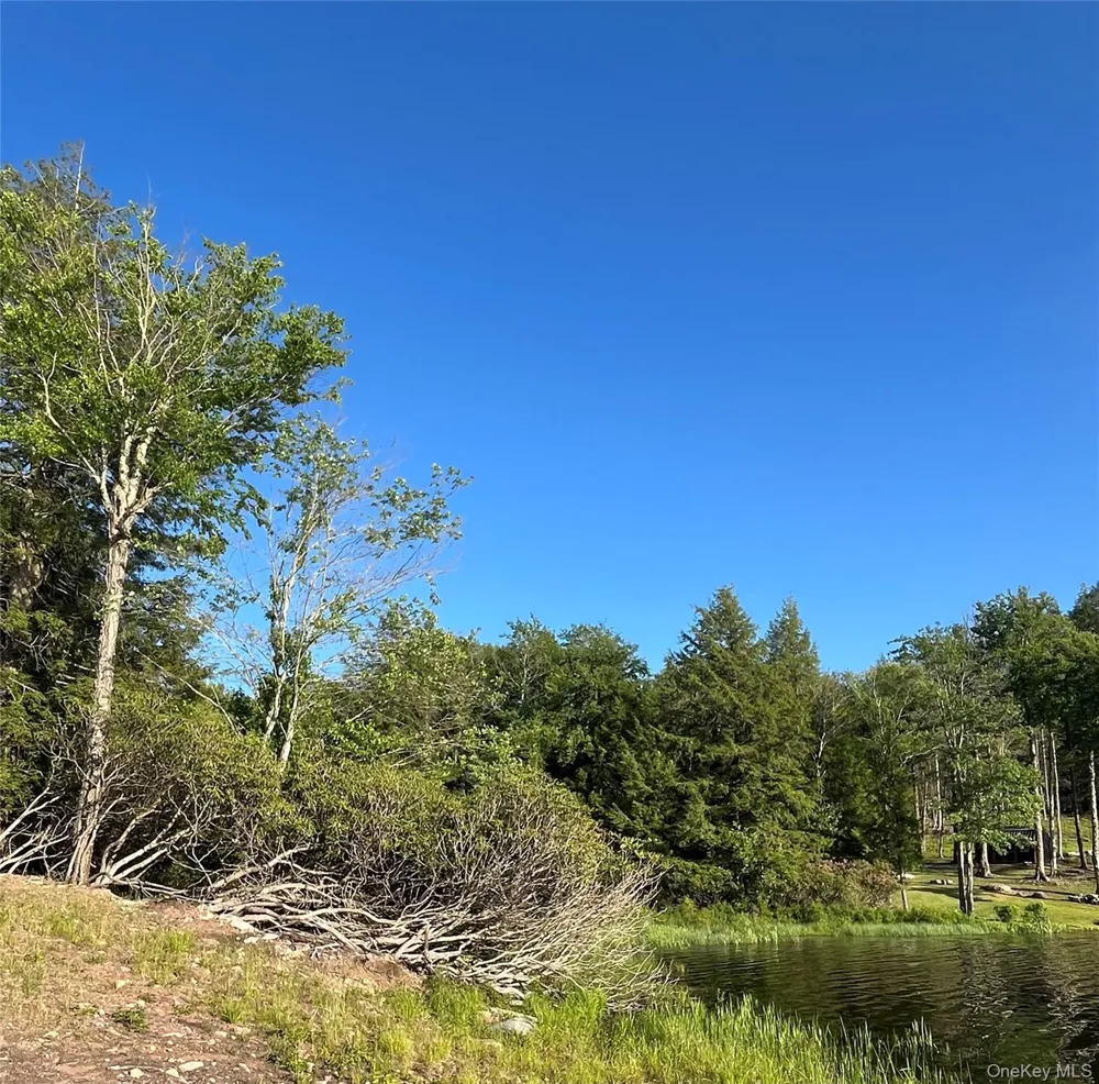 47 Eagles Ridge Way Parksville, NY 12768