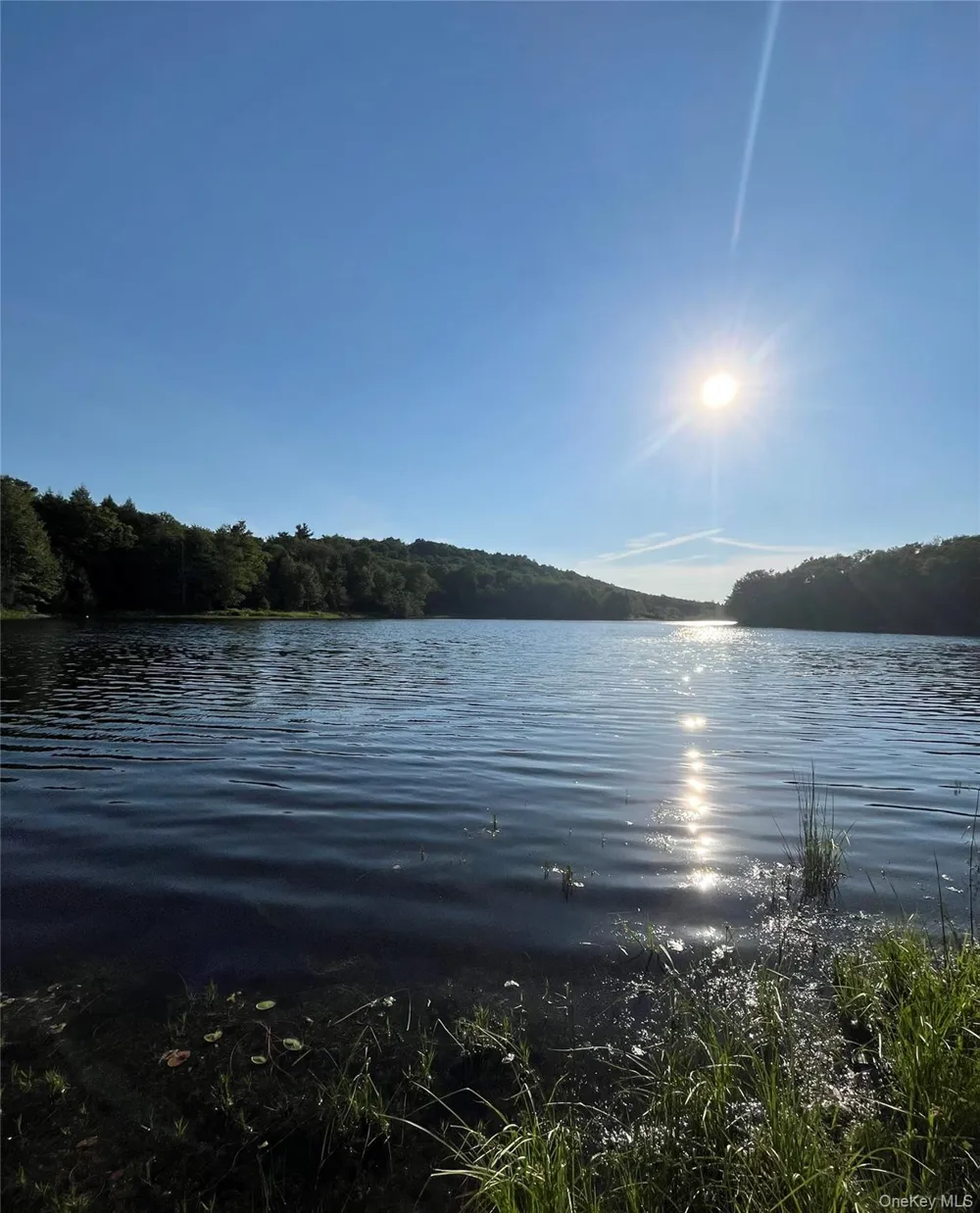 47 Eagles Ridge Way Parksville, NY 12768