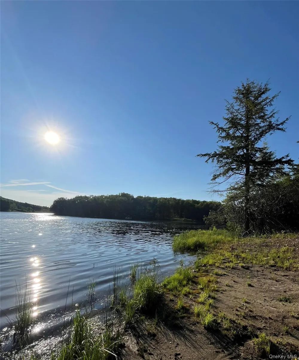 47 Eagles Ridge Way Parksville, NY 12768