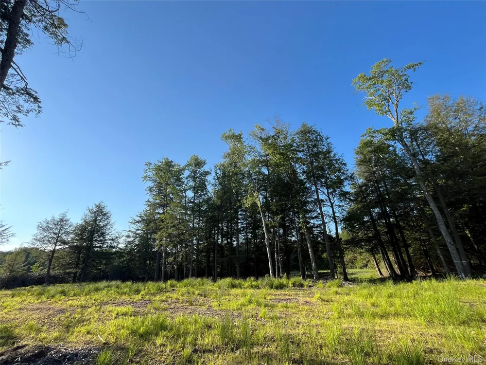 47 Eagles Ridge Way Parksville, NY 12768