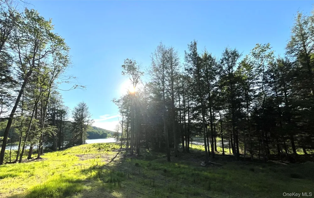 47 Eagles Ridge Way Parksville, NY 12768
