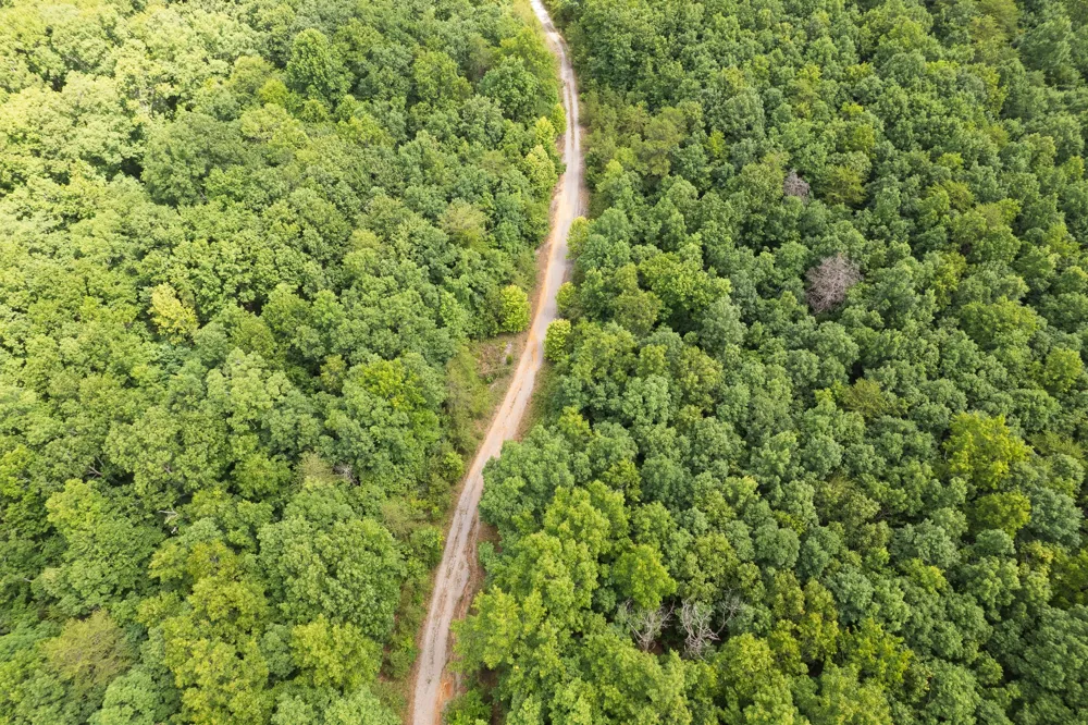 1 Maple Drive Pikeville, TN 37367