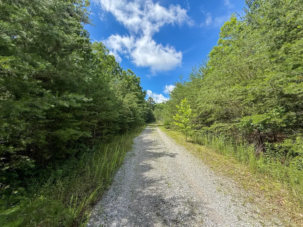 1 Maple Drive Pikeville, TN 37367