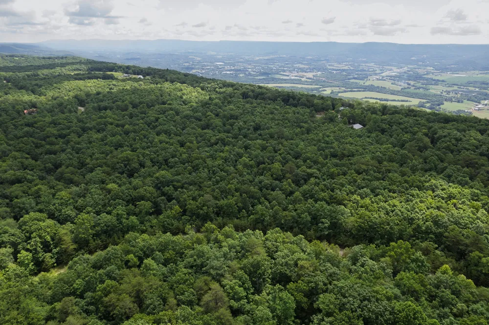 1 Maple Drive Pikeville, TN 37367
