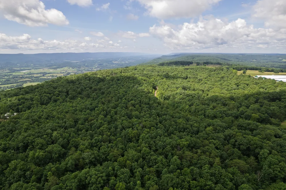 1 Maple Drive Pikeville, TN 37367