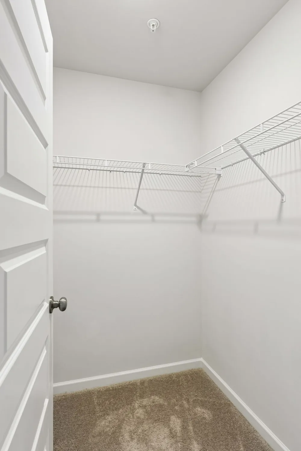 566 Trinity Way Spring Hill, TN 37174