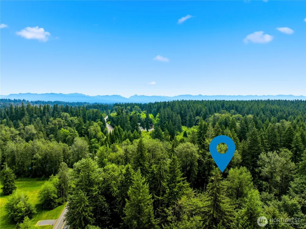 21 XXX NE 133rd Street Woodinville, WA 98077