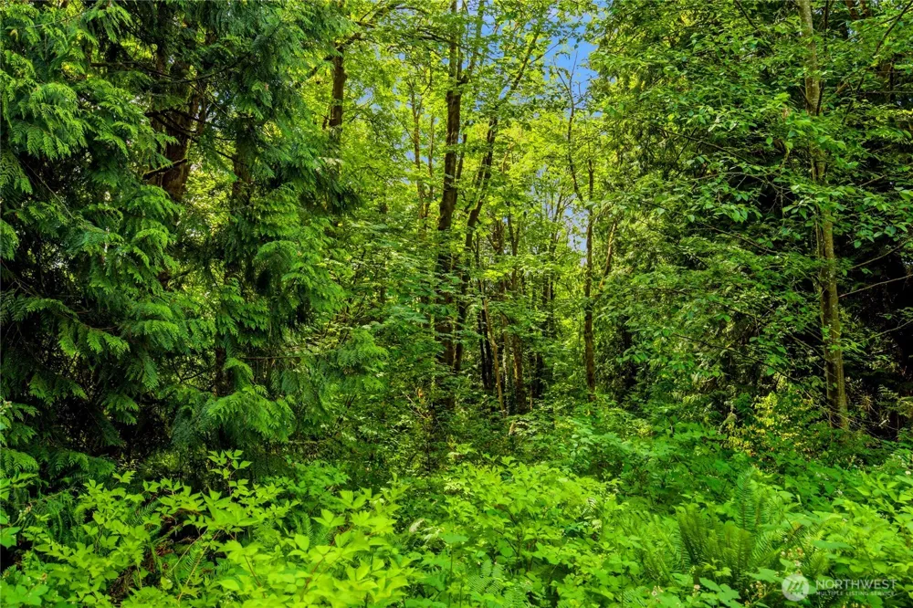 21 XXX NE 133rd Street Woodinville, WA 98077