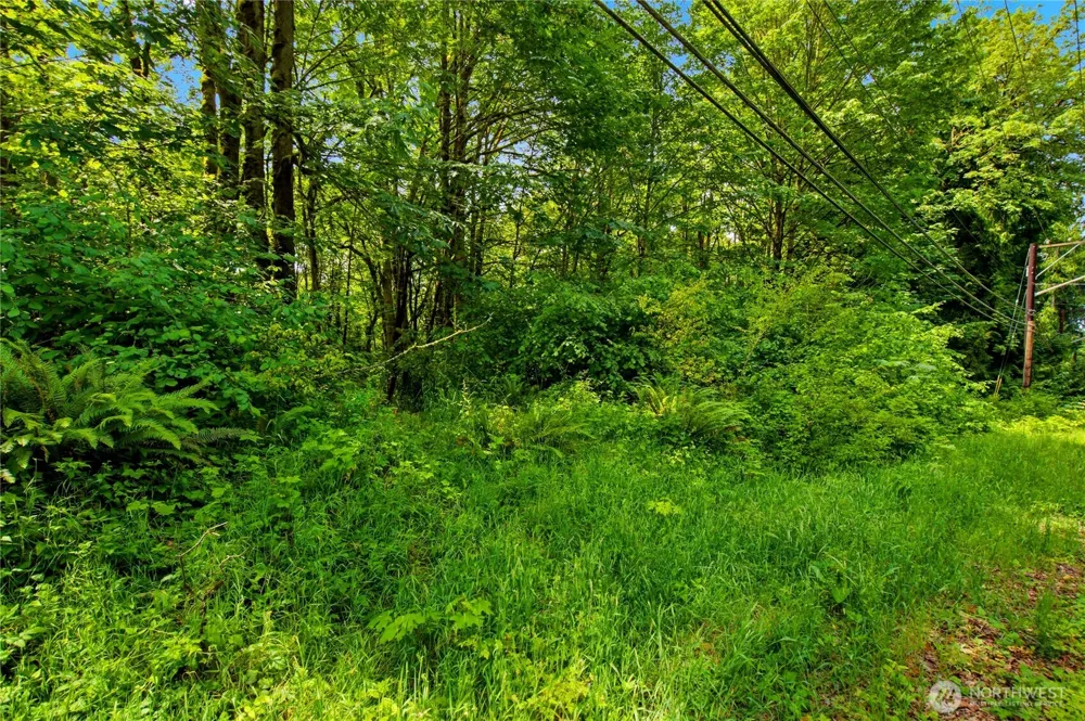 21 XXX NE 133rd Street Woodinville, WA 98077