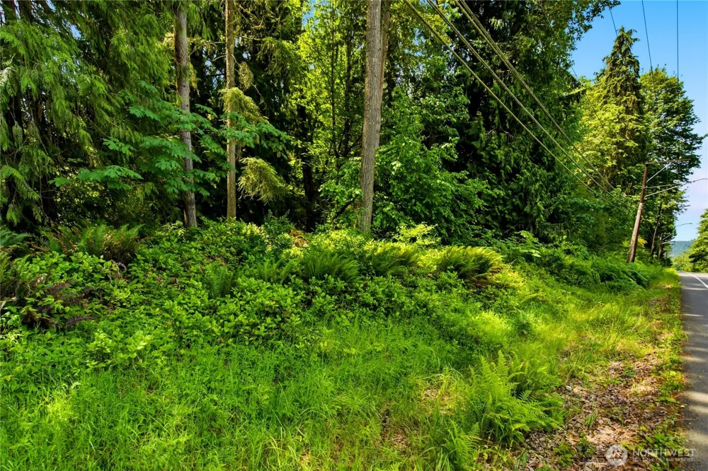 21 XXX NE 133rd Street Woodinville, WA 98077