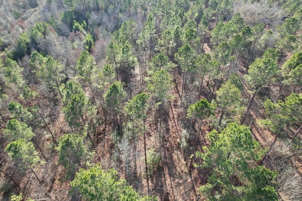 County Road 216 Beckville, TX 75631