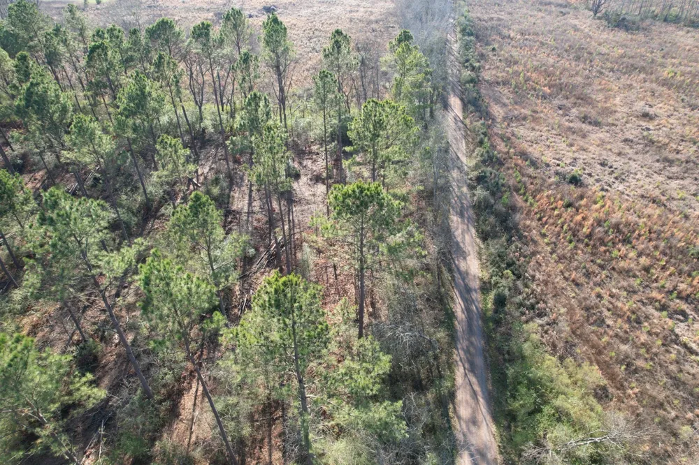 County Road 216 Beckville, TX 75631