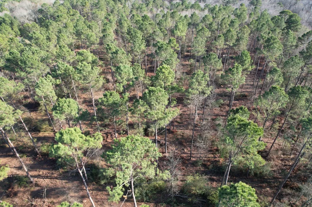 County Road 216 Beckville, TX 75631
