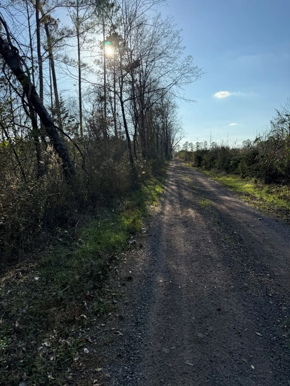 County Road 216 Beckville, TX 75631